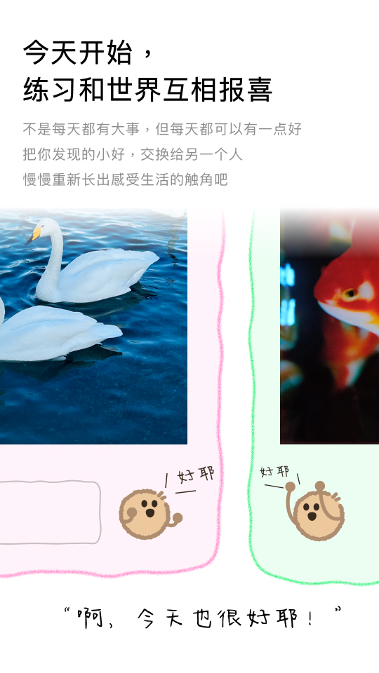 今天开始，练习和世界互相报喜